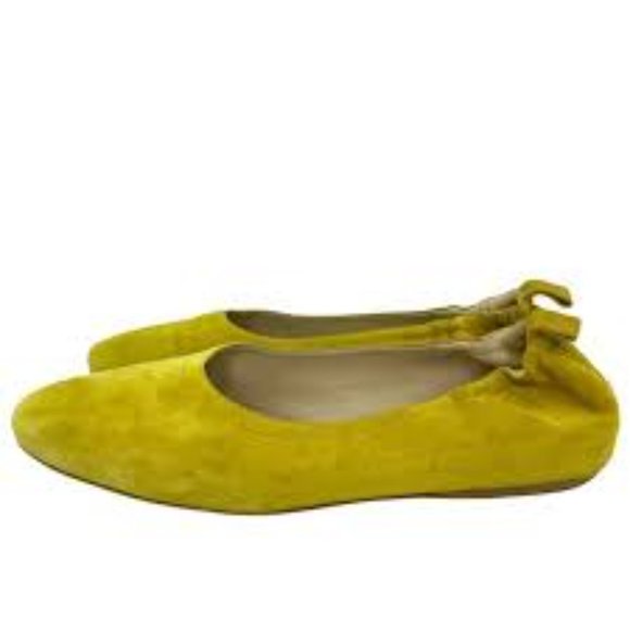 Everlane flats -Hard to find color - Picture 1 of 9